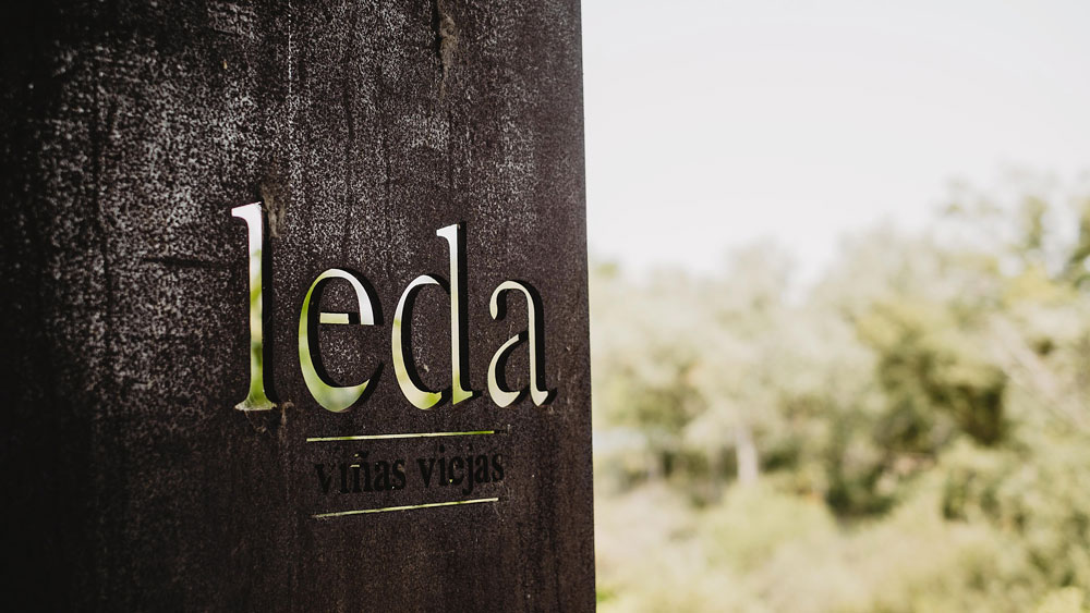 Viñedos Leda